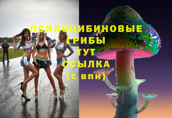 mdpv Заволжье