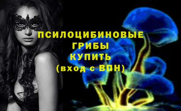 бошки Заволжск